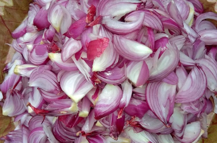 The Amazing Health and Medicinal Benefits of Onions: Natural Remedies and Treatments