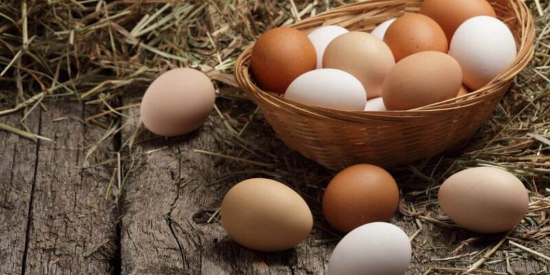 The Amazing Benefits of Including Eggs in Your Daily Breakfast