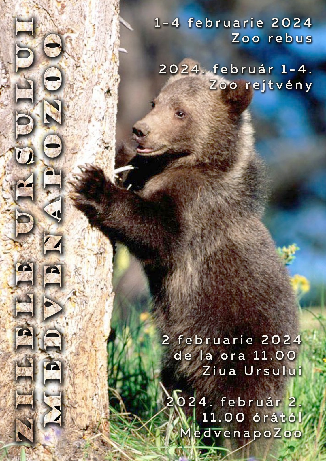 Zilele Ursului la Grădina Zoologică din Târgu Mureș