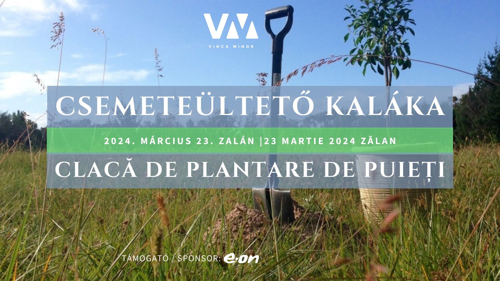 10.000 de puieţi de foioase plantaţi la Zălan, pe o suprafaţă de două hectare