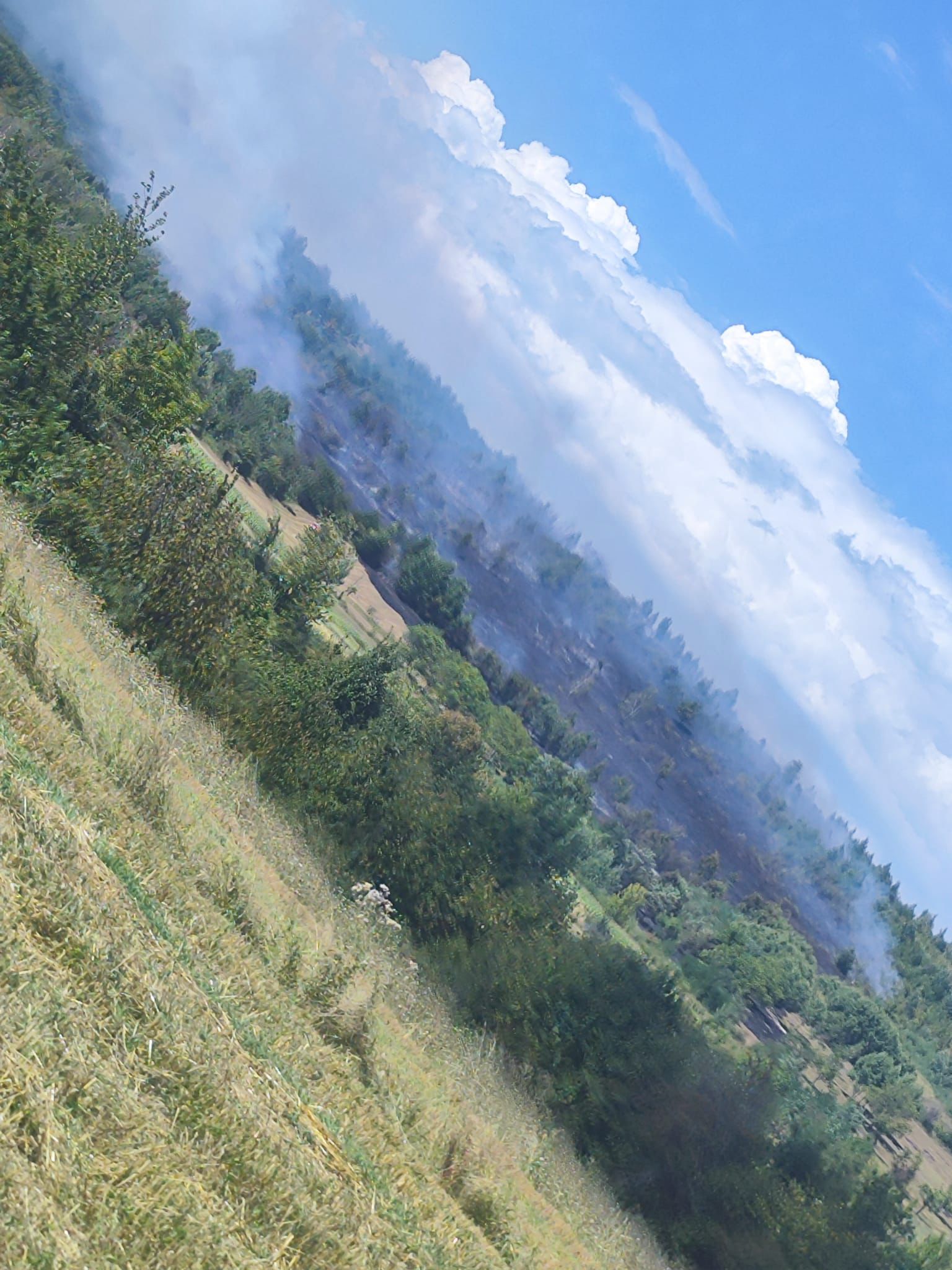 Incendiu de vegetație pe 10 hectare în localitatea Deda