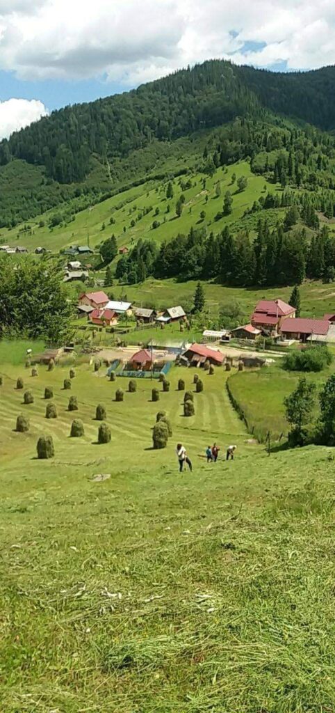 La strâns fânul prin Transilvania