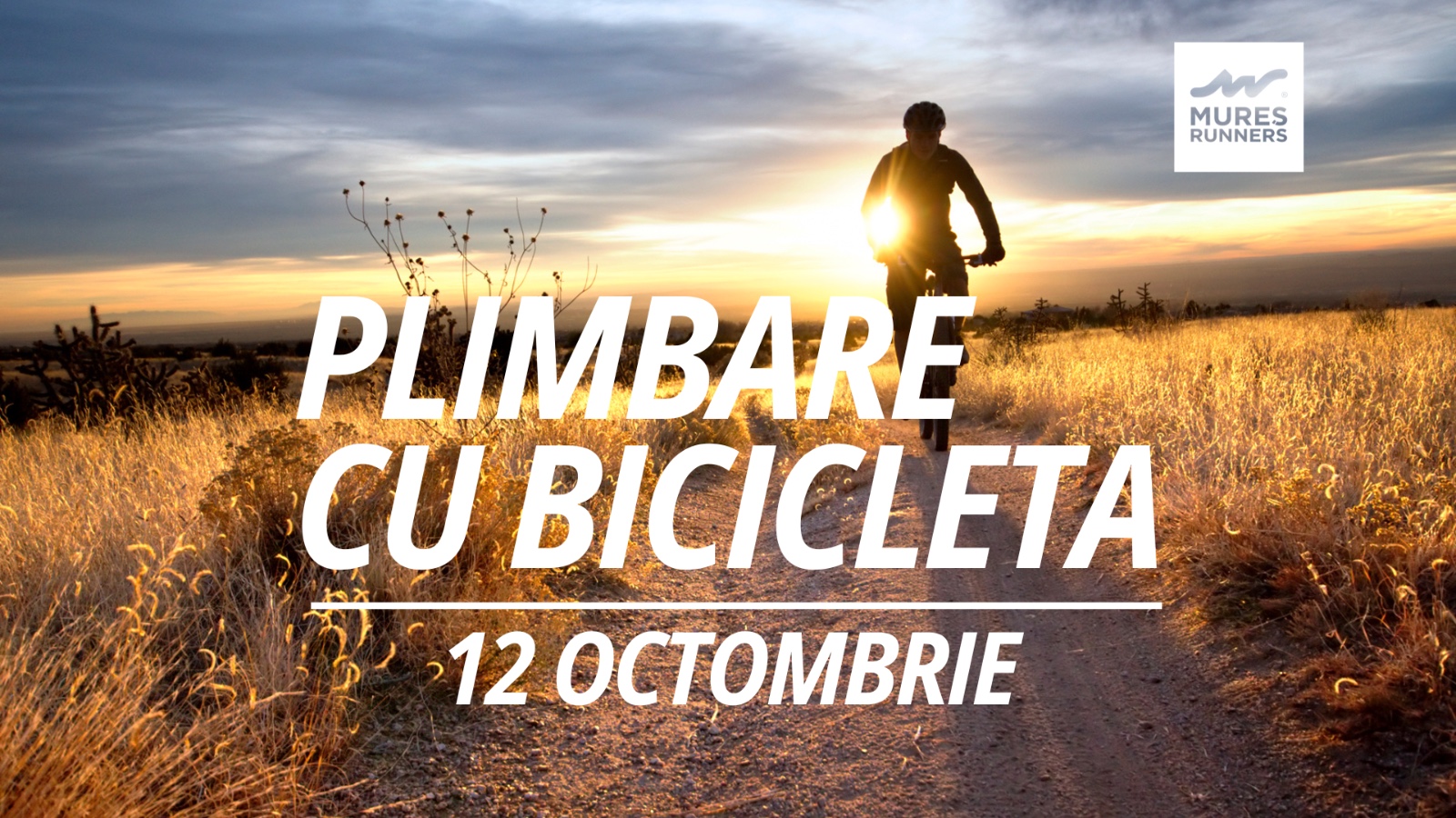 Plimbare cu bicicleta în jurul Târgu Mureșului