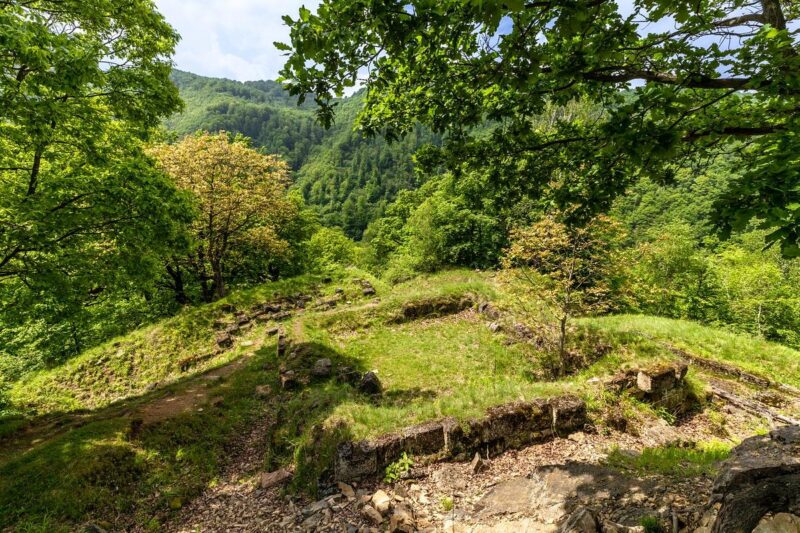 Cetatea Dacică de la Căpâlna