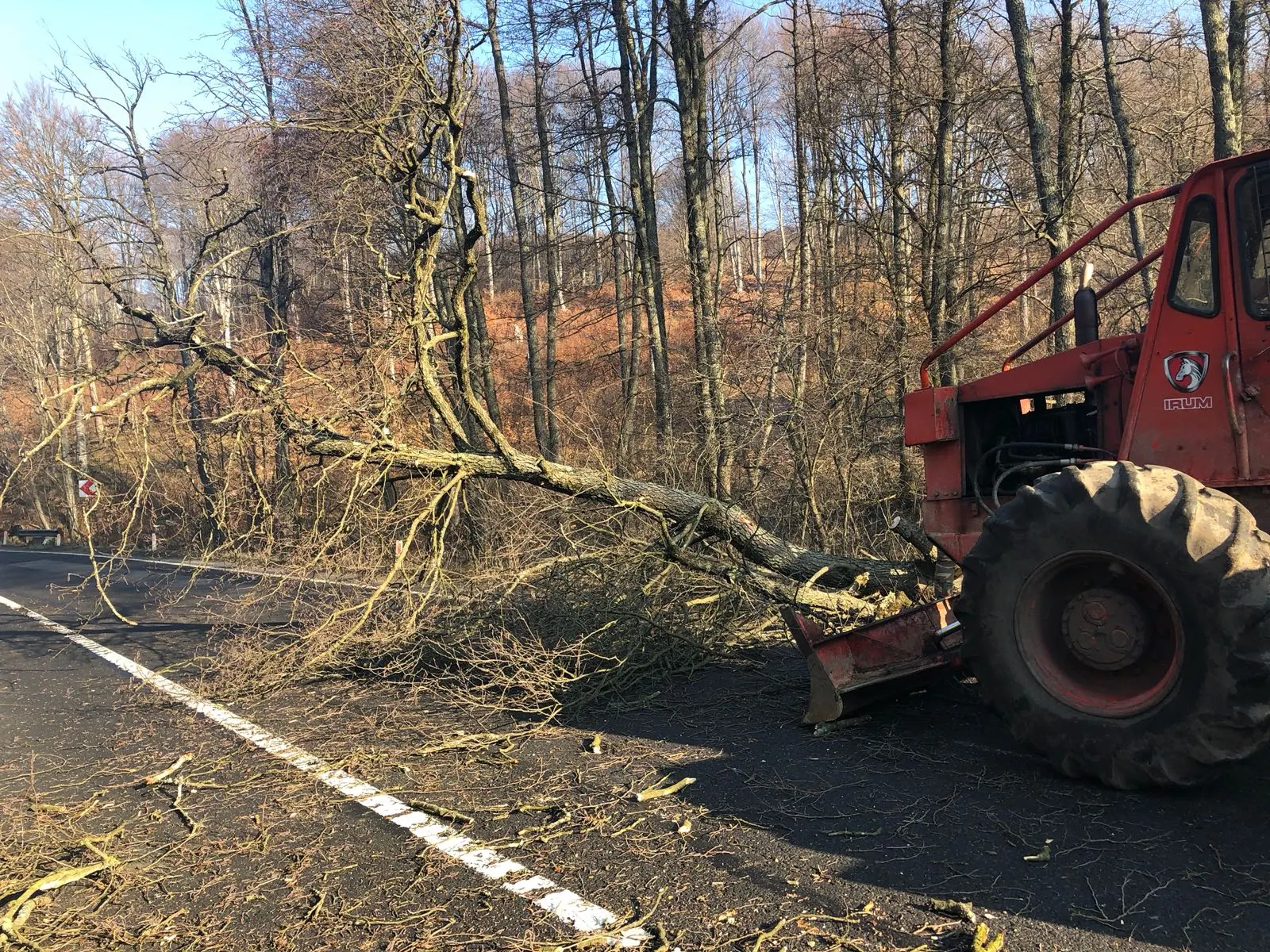 Acţiune de tăiere a arborilor aflaţi în zona de siguranţă şi protecţie a DN 13A în Harghita