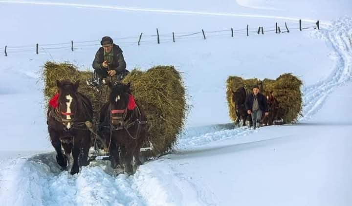 Iarnă la Fundatura Ponorului