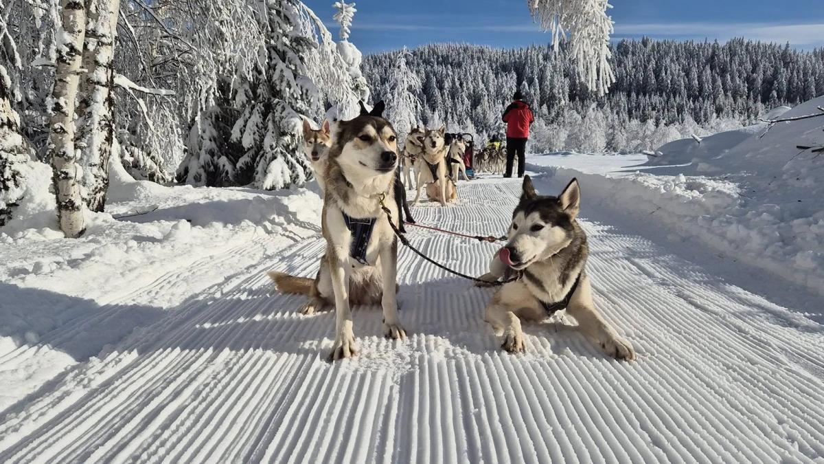 Și în Harghita poți trăi o experiență ca-n Laponia