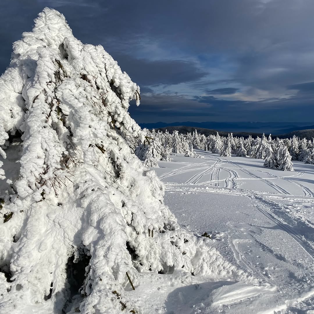 Transilvania într-un top al celor mai bune „7 destinații de iarnă în Europa