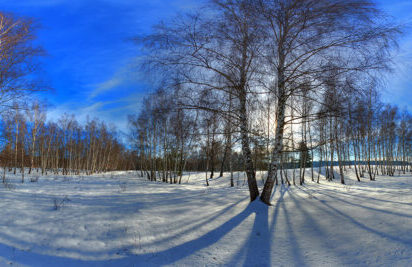 Rezervații naturale: Mestecănișul de la Reci