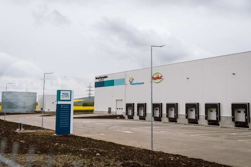 ZF: Un grup maghiar intenționează achiziționarea operațiunilor locale ale FrieslandCampina