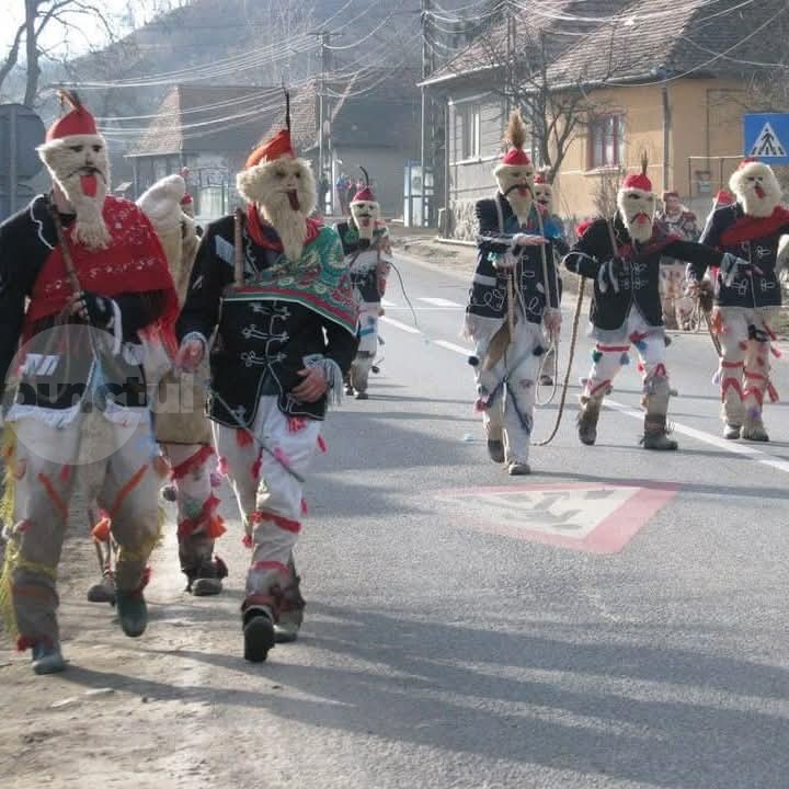 Fărșangul din Chibed. Tradiție, mascote și voie bună!