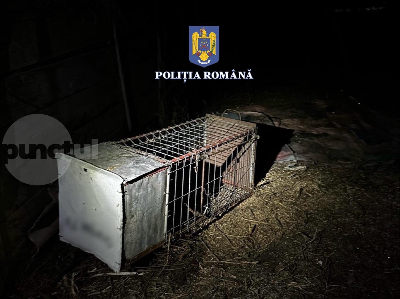 Amenzi la Pogăceaua pentru cuști de capturare și deținere de animale din specii protejate