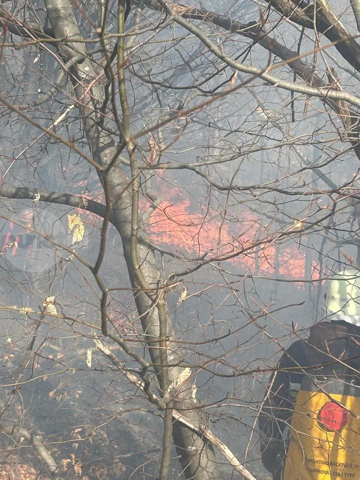 Incendiu de vegetație și fond forestier la Sovata