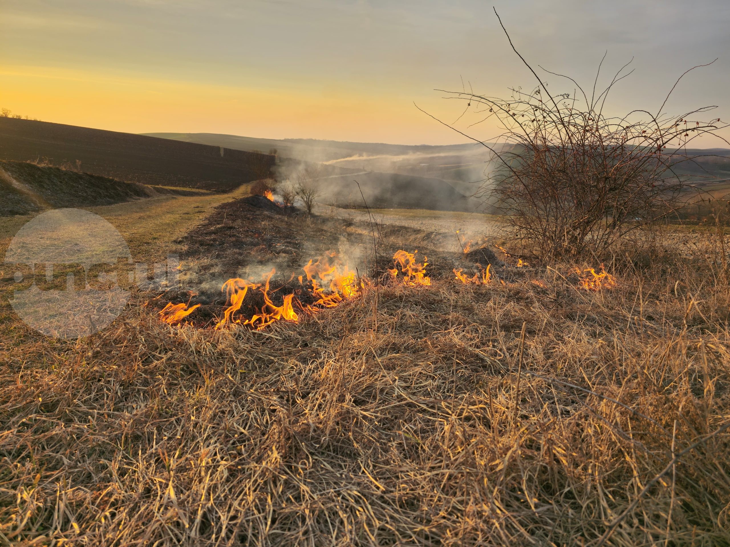 APIA a identificat şi va sancţiona trei fermieri pe ale căror terenuri au avut loc incendii de vegetaţie