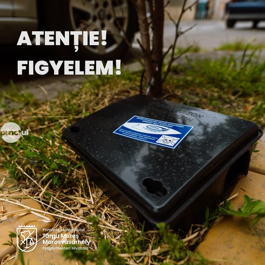 Anunț privind acțiunile de deratizare, dezinsecție și dezinfecție în Municipiul Târgu Mureș
