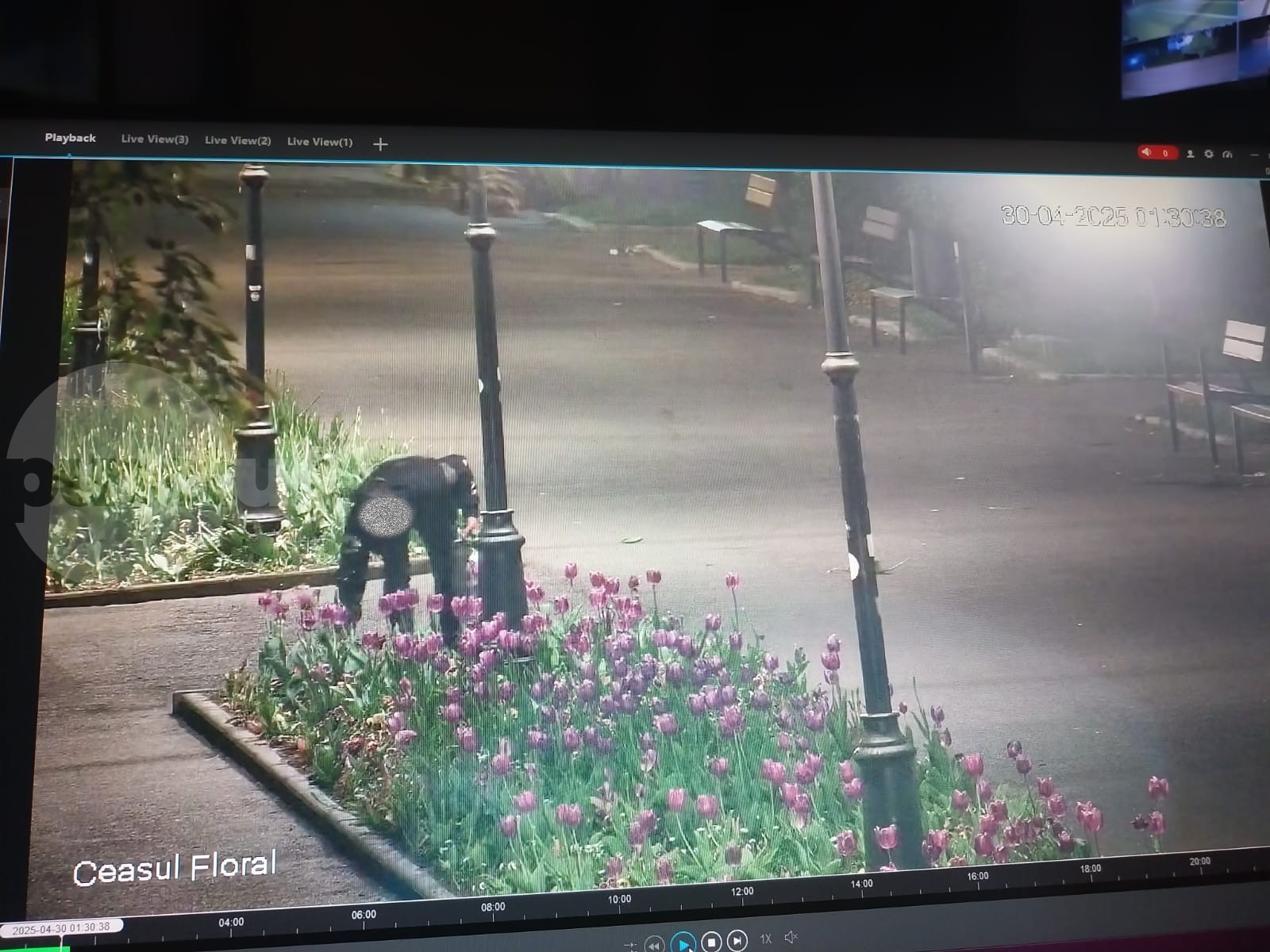 Amendat pentru că rupea lalele din centru