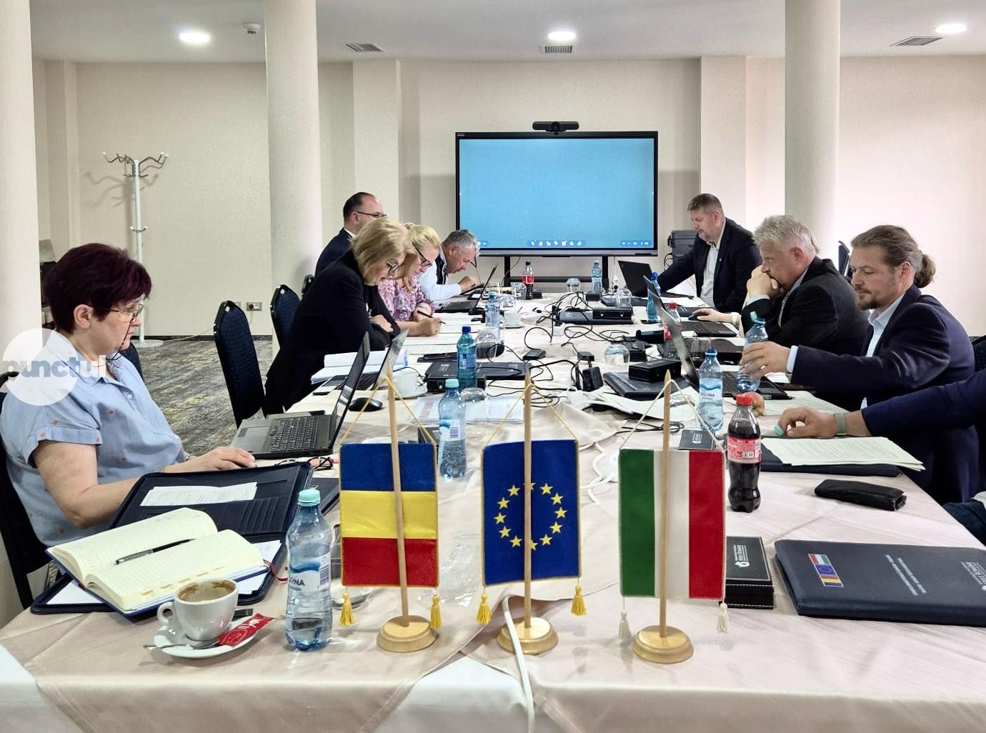 Cooperare româno-ungară pentru protecția apelor de frontieră