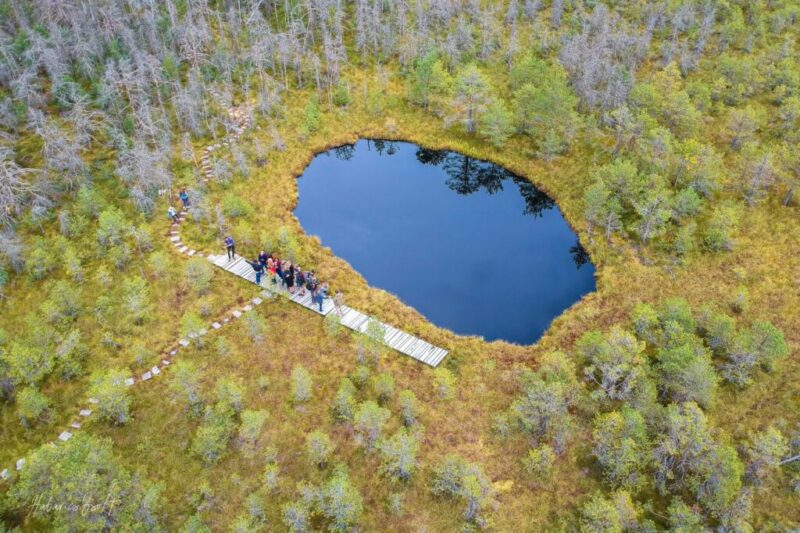 Rezervații naturale: Tinovul Mohoș din Munții Ciomatu