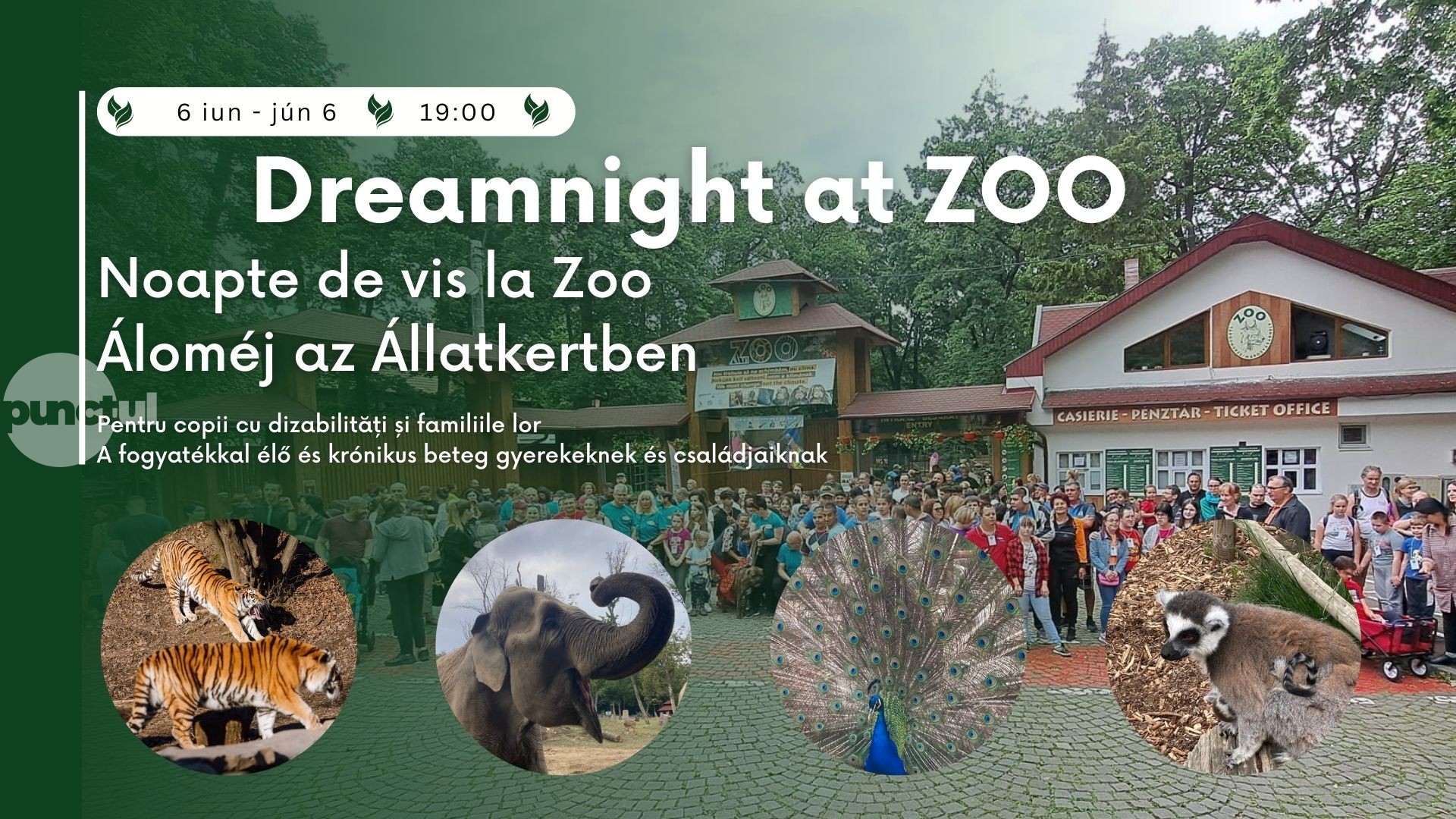 Dreamnight at ZOO – O seară de vis la Grădina ZOO Târgu Mureș pentru copiii cu nevoi speciale