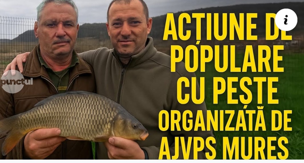 (Video) Acțiune de populare cu puiet la Târgu Mureș și Sângeorgiu de Mureș