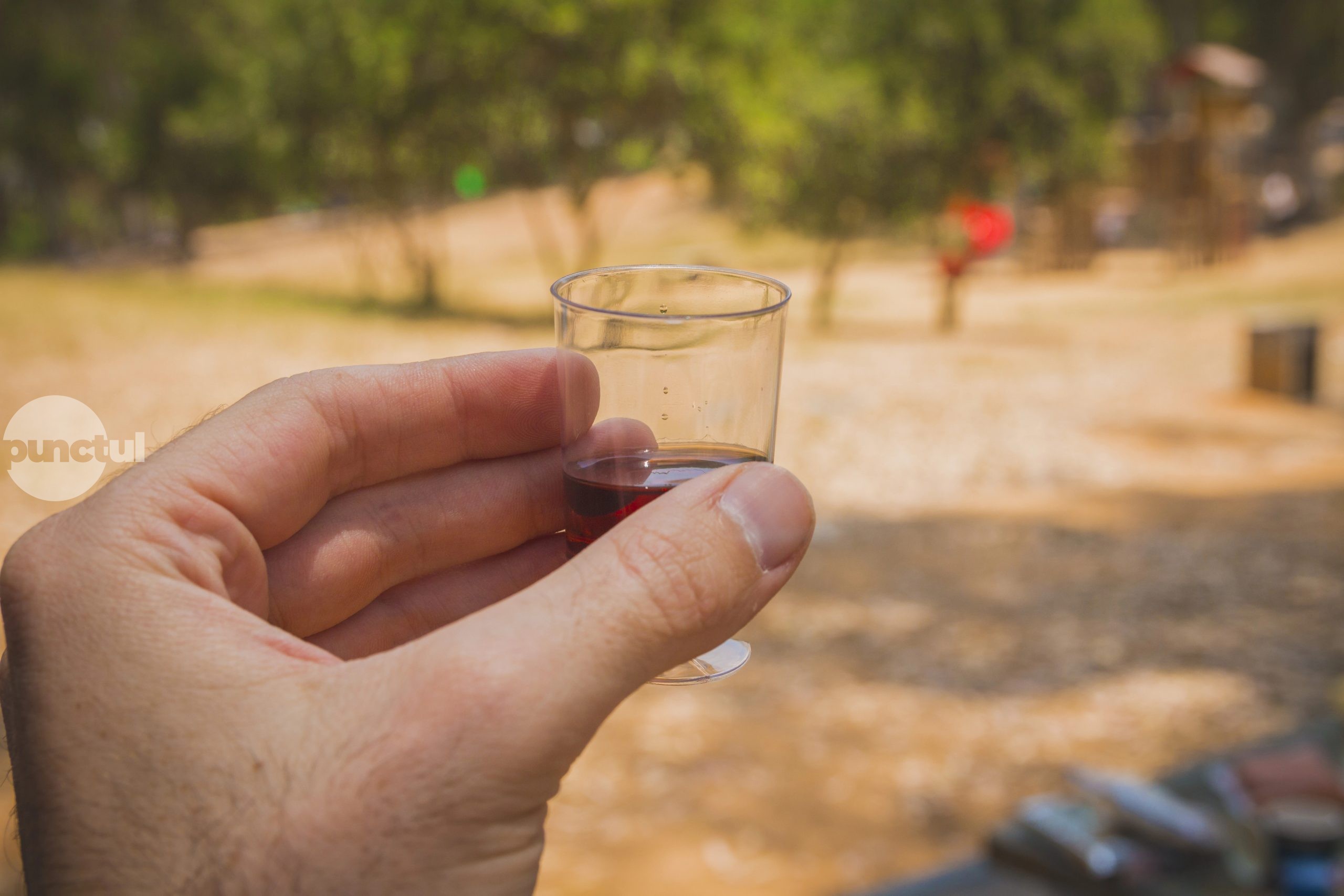 Palinka din Ungaria, în pericol de dispariție