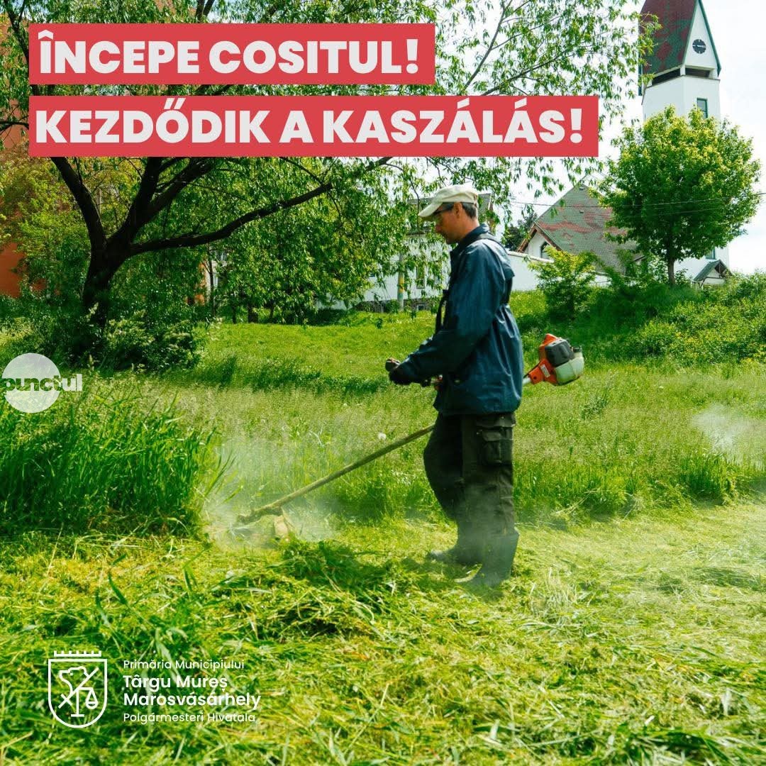 Iarba din oraș va fi cosită de către o firmă specializată