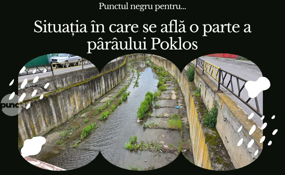 Punctul negru pentru situația în care se află o parte a pârâului Poklos din Târgu Mureș