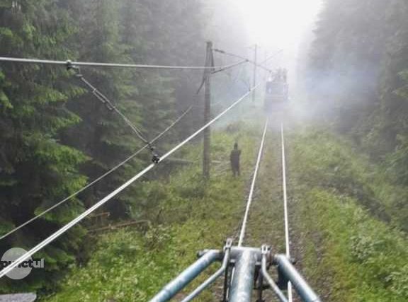 Fir de contact rupt de căderi de copaci între Răstolița și Lunca Bradului