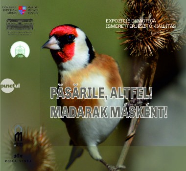 Vernisaj al expoziției temporare cu caracter didactic „Păsările, altfel!” la Secția de Științele Naturii