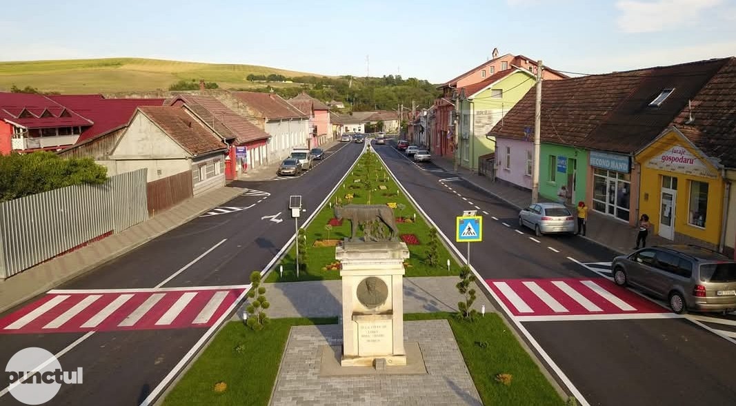 Operațiuni de deparazitare ale spațiilor verzi la Luduș