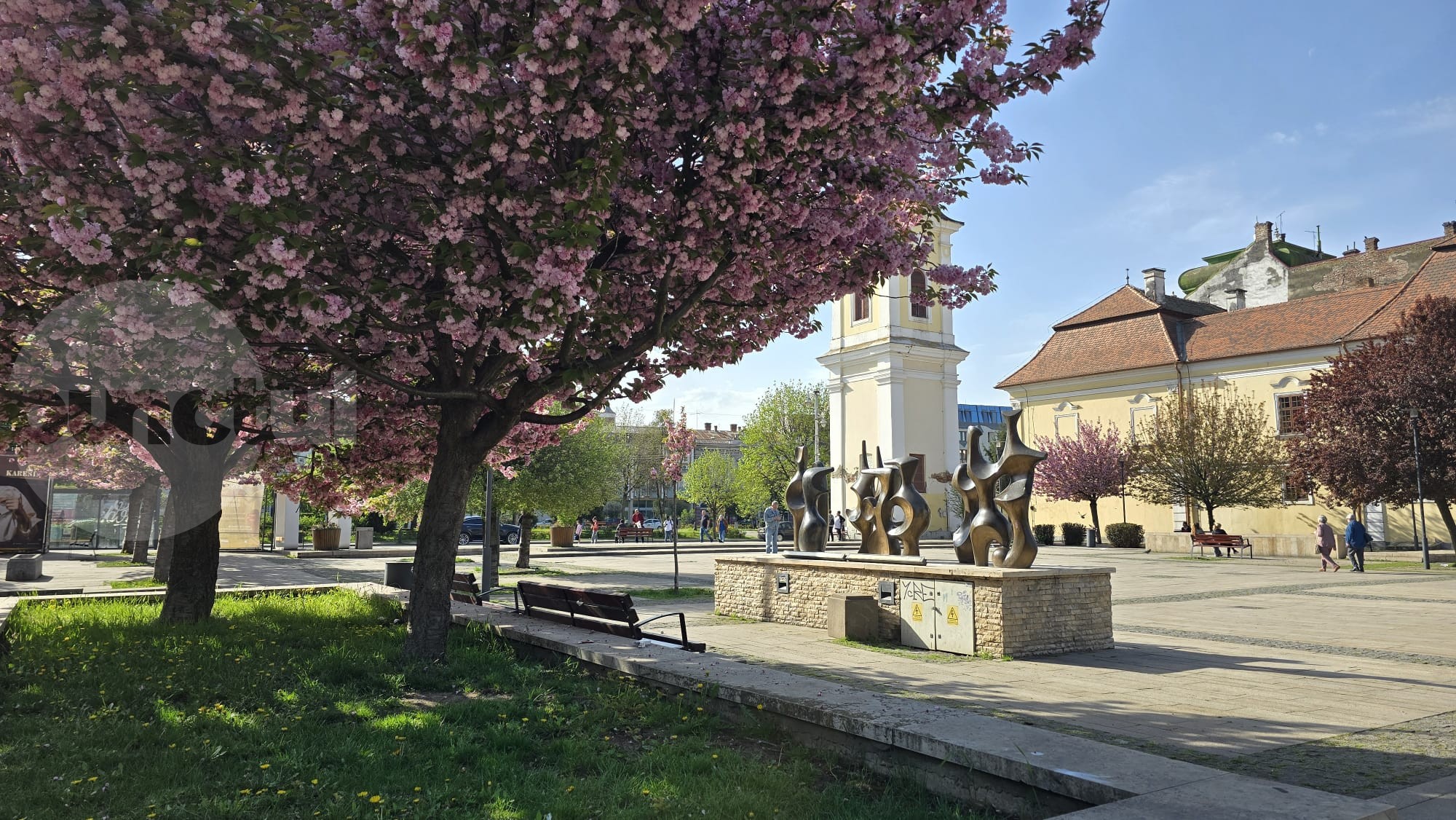Cum a votat municipiul Târgu Mureș. Rezultate finale