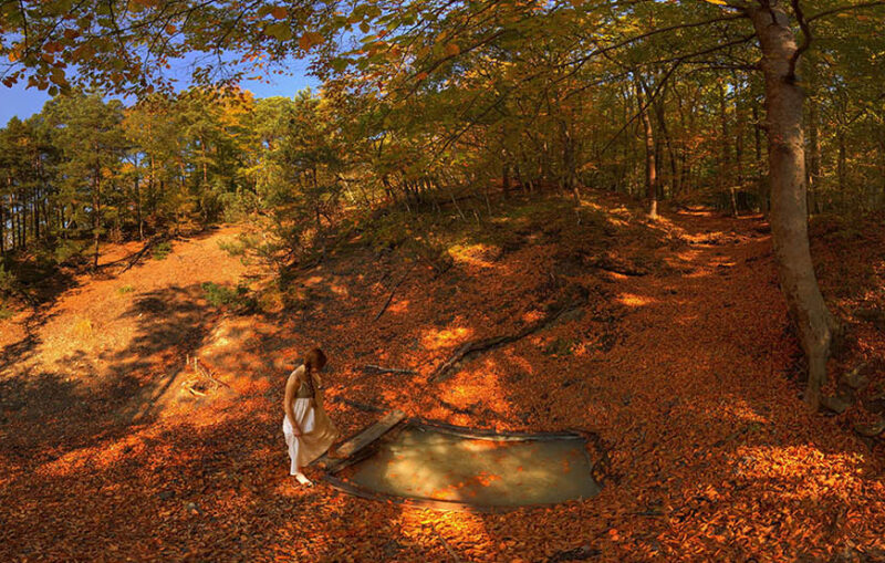 Rezervații naturale: Băile Apor