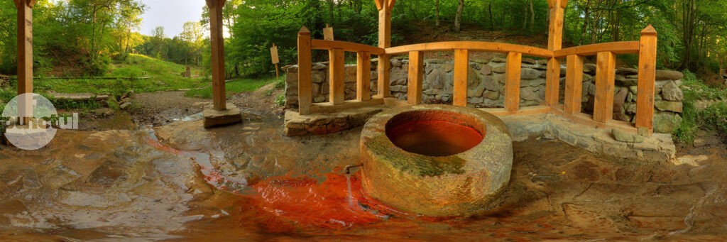 Rezervații naturale: Izvorul și baia Sütei din Olteni