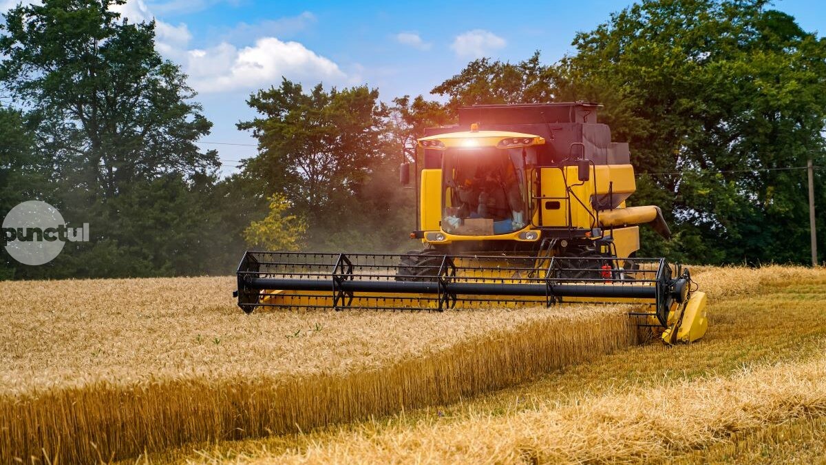 Sfaturile ANAF pentru persoanele fizice care obțin venituri din arendarea terenurilor agricole. Ce declarații fiscale trebuie completate