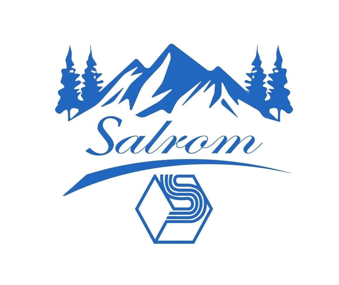 SALROM SA – cuibul de incompetenți și sinecuri din politică