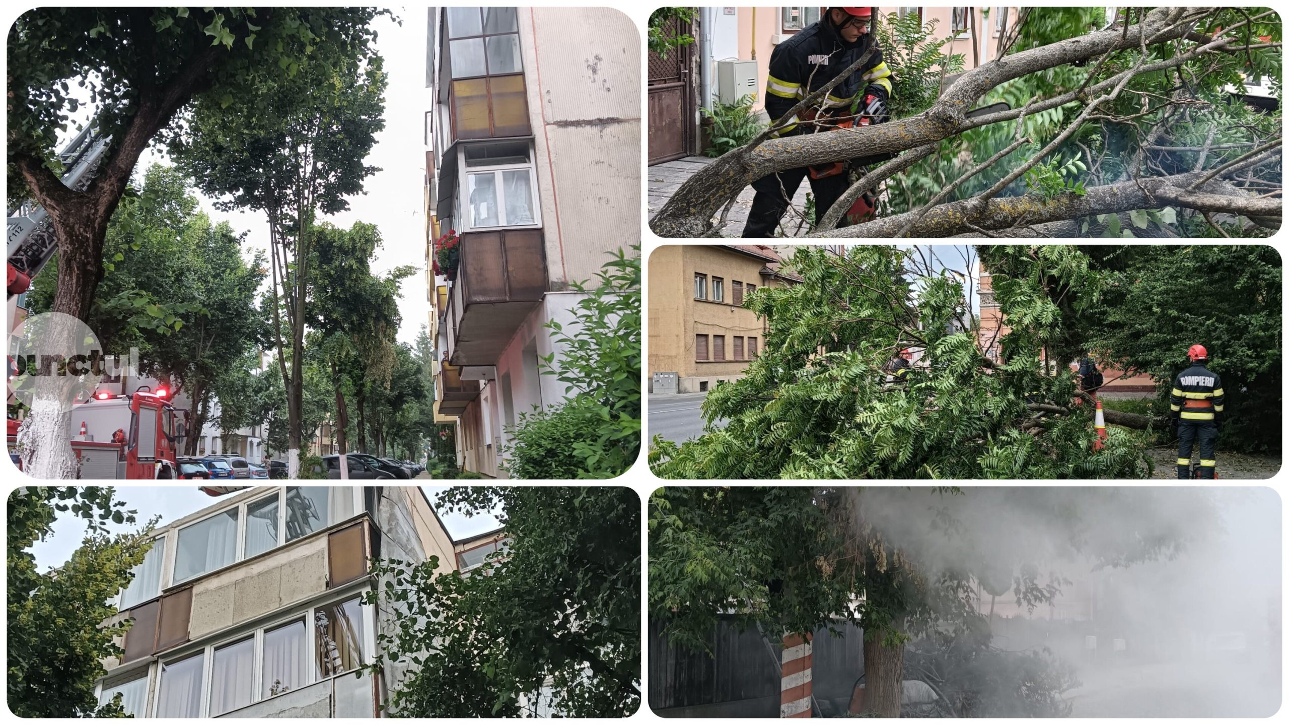O mica furtună și iar au căzut copaci la Târgu Mureș