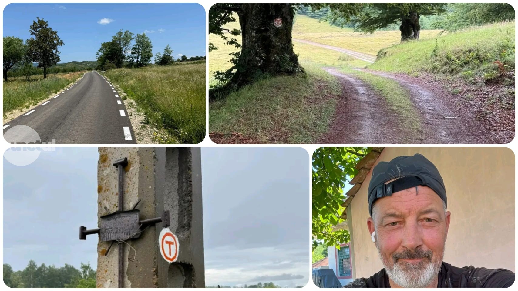 Tensiuni pe Via Transilvanica. Între poteca înierbată și asfaltul de 70 de milioane de lei