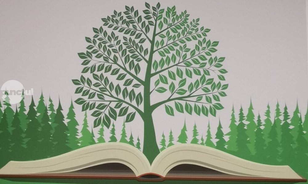 Diferențele dintre școlile de la oraș și cele de la sat în „Săptămâna Verde”