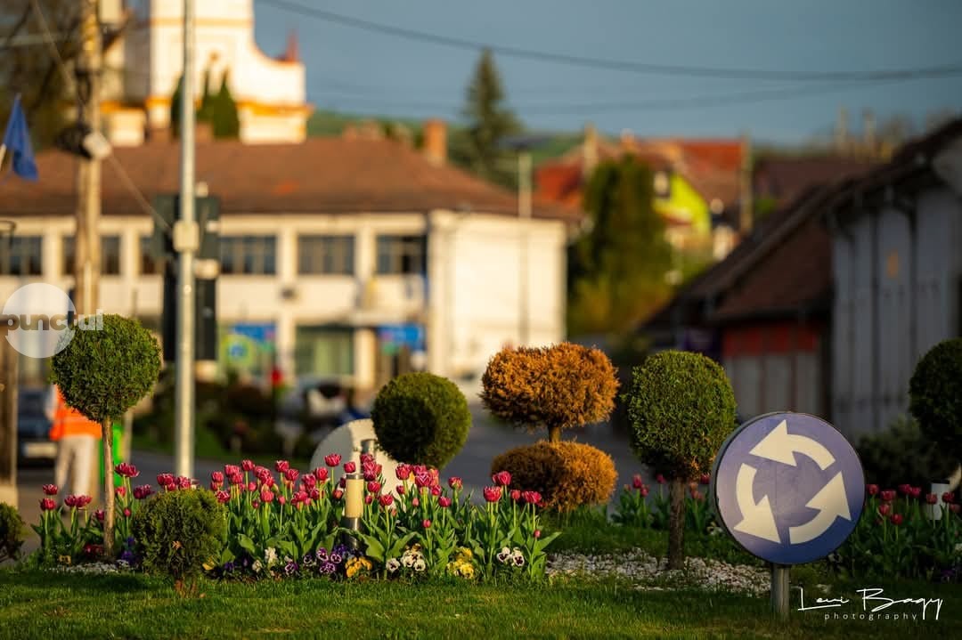 Primăria Luduș anunță condițiile acordării tichetului electronic de energie