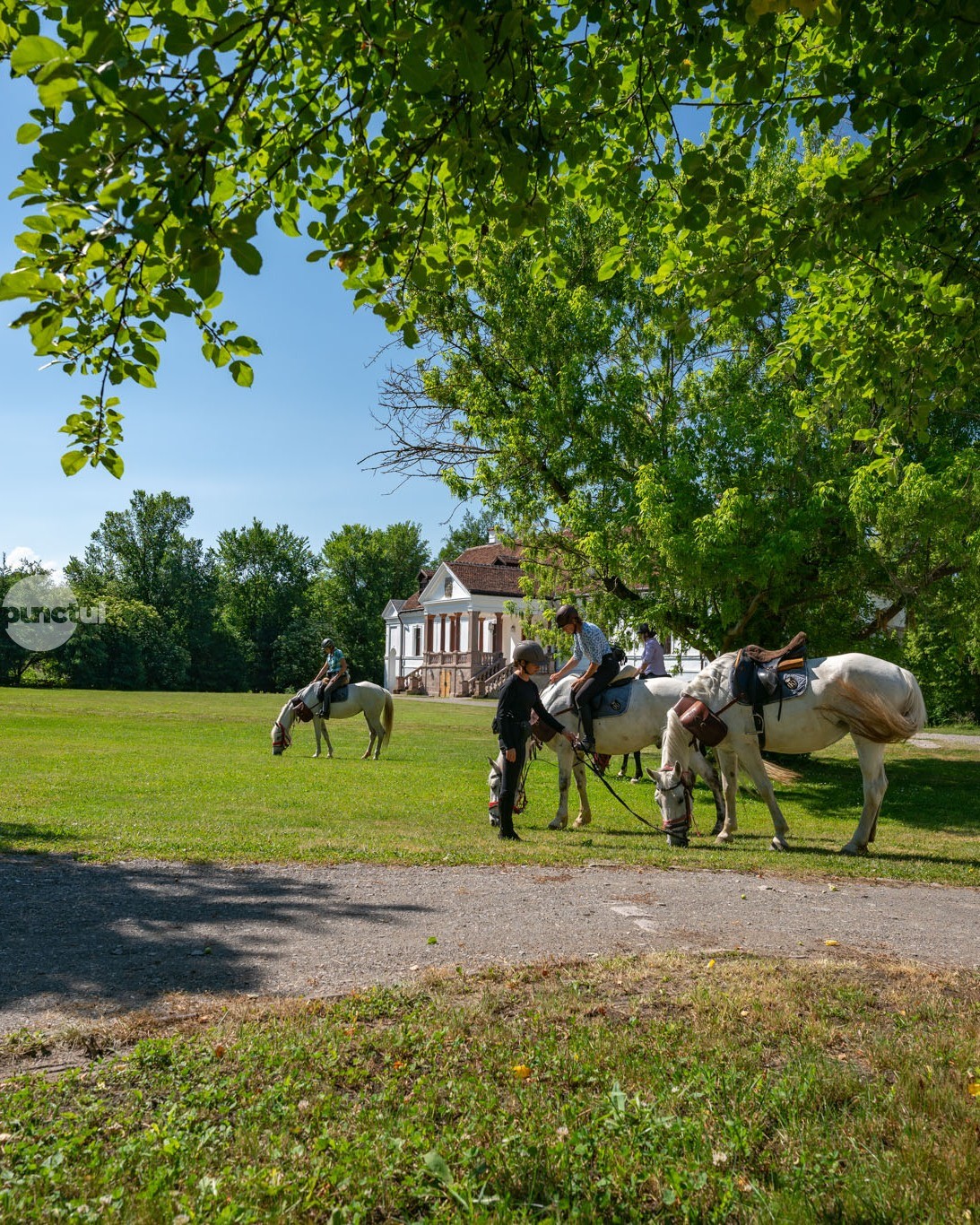 Cursuri de călărie pentru copii și adulți la Centrul de Echitație Kálnoky din Covasna