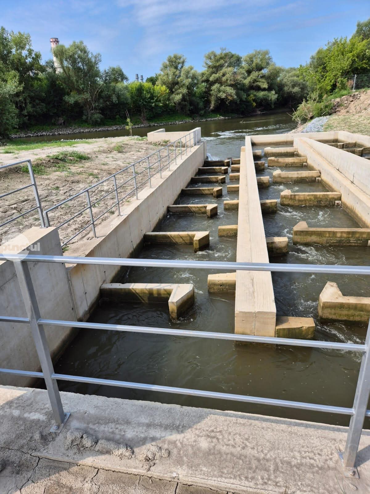 Recepția scării de migrare a peștilor de pe râul Mureș (baraj termocentrală Iernut)