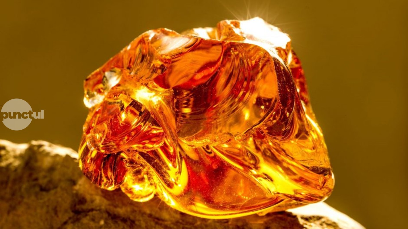 O nouă ediție a expoziției MINERALIA la Muzeului Județean Mureș