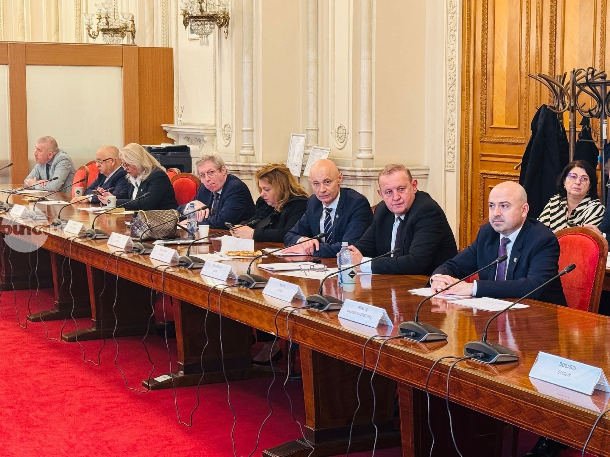 Senator Lucian Mărginean: Prin plafonarea TVA la alimentele de bază, am protejat puterea de cumpărare a familiilor