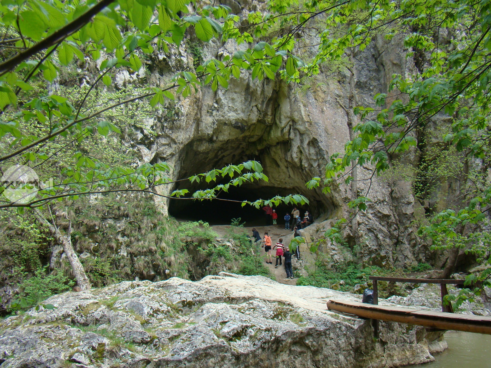 Mai frumos decât în Cheile Turzii, dar mult mai puțin aglomerat. Descoperă Cheile Vârghișului!