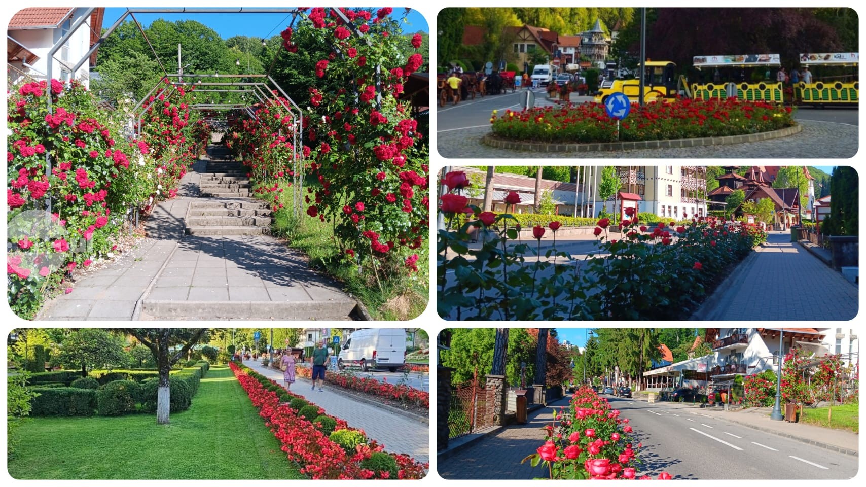 Punctul alb pentru administrația spațiilor verzi din Sovata, care reușește să transforme în fiecare vară stațiunea într-un oraș al florilor (foto)