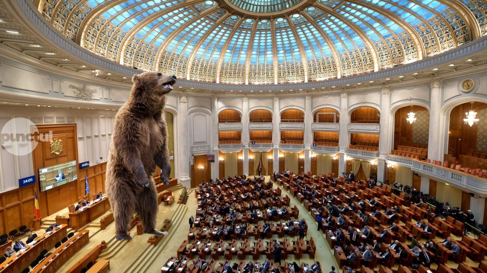 Mureșul stă cel mai bine la …urși! Politicienii se luptă cu „atitudine și inițiative” în parlament dar nu l-au învins