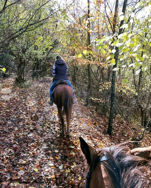 Culorile toamnei sunt și mai uimitoare văzute de pe cal în Harghita