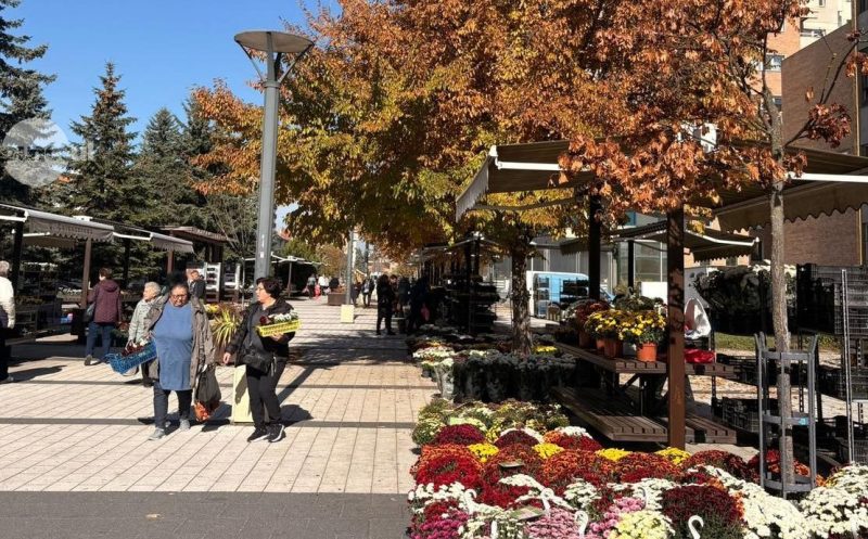  Miercurea-Ciuc s-a alăturat unor oraşe din Ungaria pentru folosirea inteligenţei artificiale în administraţie