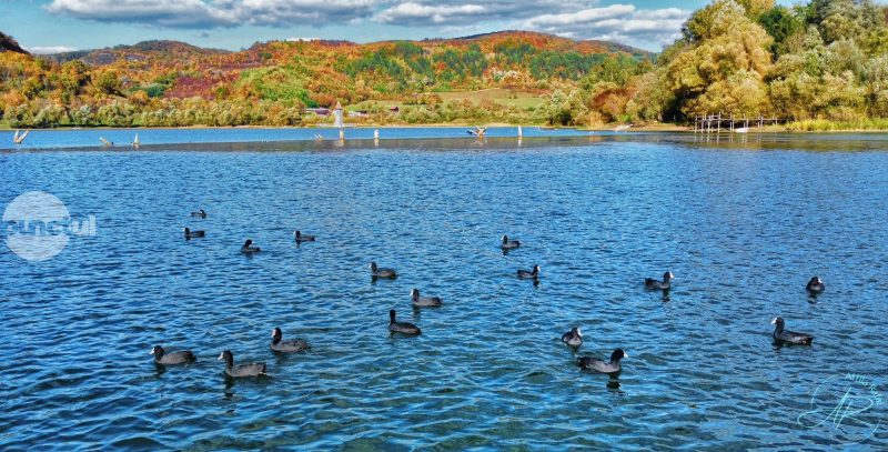 Clipe de toamnă pe malul lacului Bezid (foto)