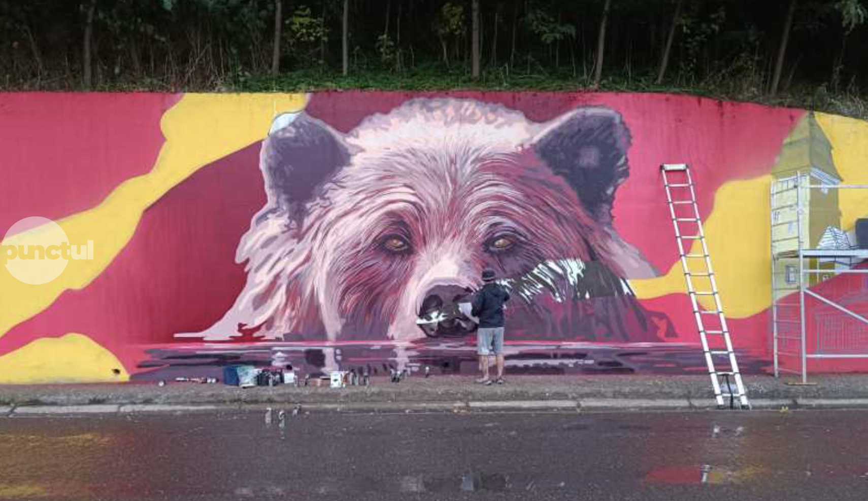 Festival de artă urbană la Topliţa – zidul de lângă cascada mezotermală devine o imensă operă de artă